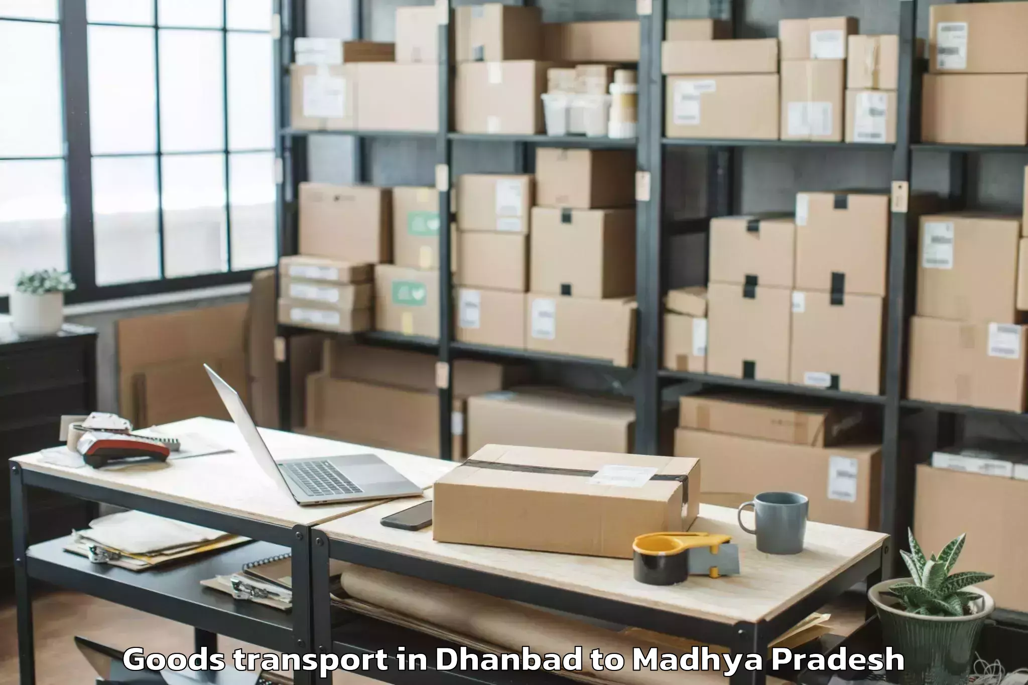 Comprehensive Dhanbad to Manawar Goods Transport